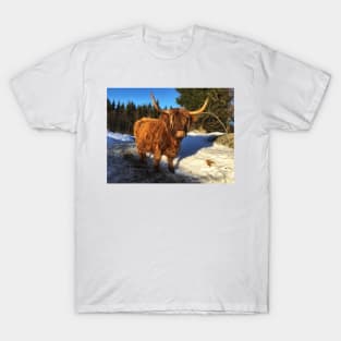 Scottish Highland Cattle Cow 1919 T-Shirt